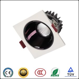 Led Downlight(non-standard embed DD1)