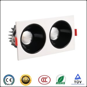 Led Downlight(non-standard embeded DD2)