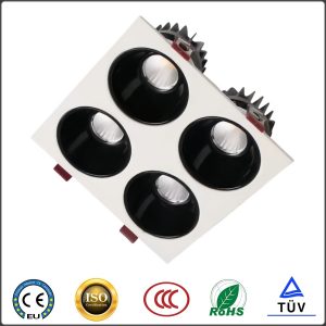 Led Downlight(non-standard embeded DD4)